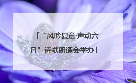 “风吟夏章·声动六月”诗歌朗诵会举办