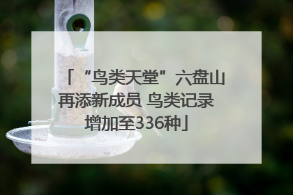 “鸟类天堂”六盘山再添新成员 鸟类记录增加至336种