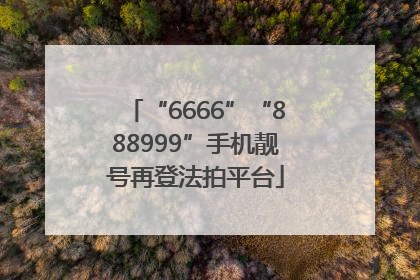 “6666”“888999”手机靓号再登法拍平台