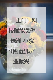 玉门：科技赋能戈壁绿洲 小院引领蜜瓜产业振兴