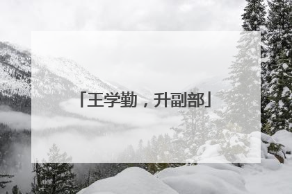 王学勤，升副部