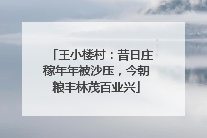 王小楼村：昔日庄稼年年被沙压，今朝粮丰林茂百业兴