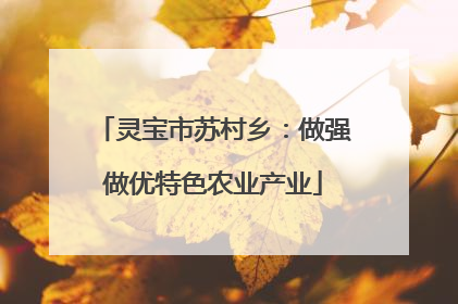 灵宝市苏村乡：做强做优特色农业产业