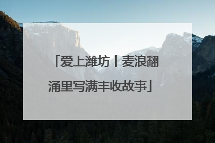 爱上潍坊丨麦浪翻涌里写满丰收故事