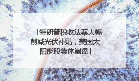 特朗普税收法案大幅削减光伏补贴，美国太阳能股集体崩盘