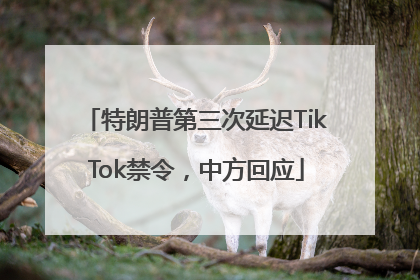 特朗普第三次延迟TikTok禁令，中方回应