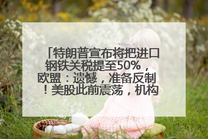 特朗普宣布将把进口钢铁关税提至50%，欧盟：遗憾，准备反制！美股此前震荡，机构：美元正进入熊市