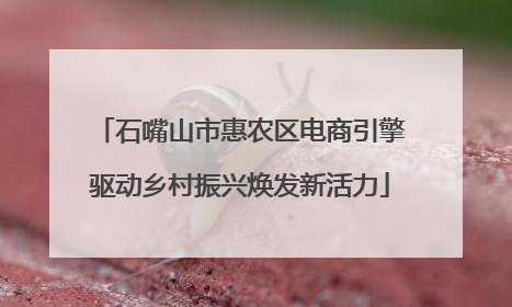 石嘴山市惠农区电商引擎驱动乡村振兴焕发新活力