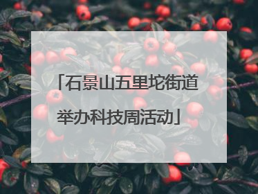 石景山五里坨街道举办科技周活动