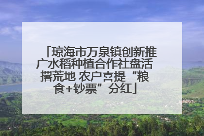 琼海市万泉镇创新推广水稻种植合作社盘活撂荒地 农户喜提“粮食+钞票”分红