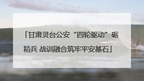 甘肃灵台公安“四轮驱动”砺精兵 战训融合筑牢平安基石