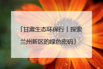 甘肃生态环保行丨探索兰州新区的绿色密码
