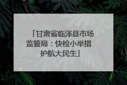 甘肃省临泽县市场监管局：快检小举措 护航大民生