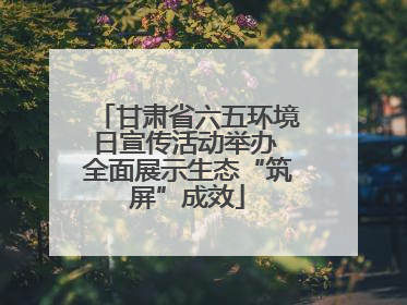 甘肃省六五环境日宣传活动举办 全面展示生态“筑屏”成效