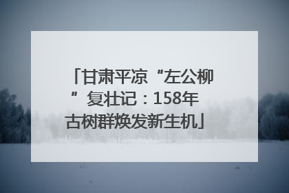 甘肃平凉“左公柳”复壮记：158年古树群焕发新生机
