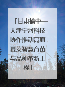 甘肃榆中—天津宁河科技协作推动高原夏菜智慧育苗与品种革新工程