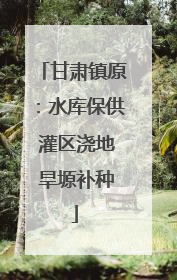 甘肃镇原：水库保供 灌区浇地 旱塬补种