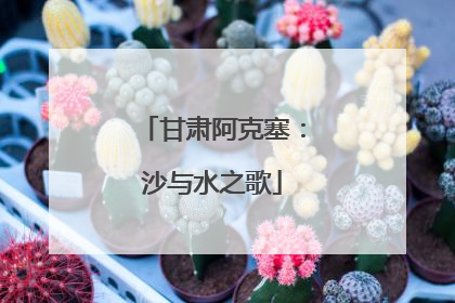 甘肃阿克塞：沙与水之歌