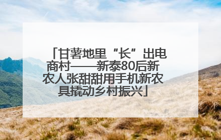 甘薯地里“长”出电商村——新泰80后新农人张甜甜用手机新农具撬动乡村振兴