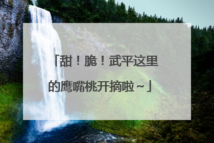 甜！脆！武平这里的鹰嘴桃开摘啦～