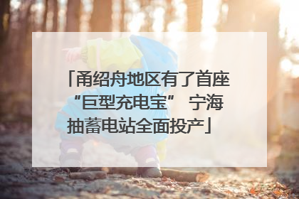 甬绍舟地区有了首座“巨型充电宝” 宁海抽蓄电站全面投产