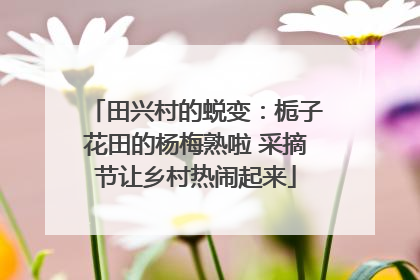 田兴村的蜕变：栀子花田的杨梅熟啦 采摘节让乡村热闹起来