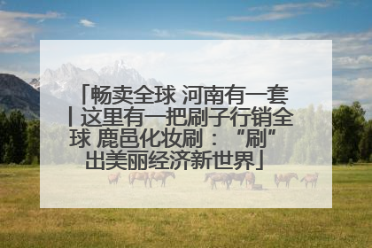 畅卖全球 河南有一套丨这里有一把刷子行销全球 鹿邑化妆刷：“刷”出美丽经济新世界