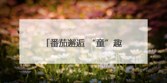番茄邂逅 “童”趣采摘 河北唐县第二幼儿园研学采摘活动