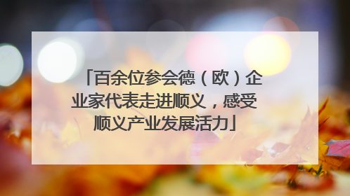百余位参会德（欧）企业家代表走进顺义，感受顺义产业发展活力