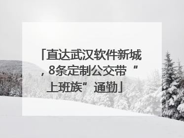 直达武汉软件新城，8条定制公交带“上班族”通勤