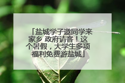 盐城学子邀同学来家乡 政府请客！这个暑假，大学生多项福利免费游盐城