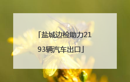 盐城边检助力2193辆汽车出口