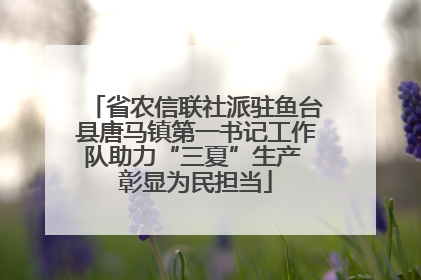 省农信联社派驻鱼台县唐马镇第一书记工作队助力“三夏”生产 彰显为民担当