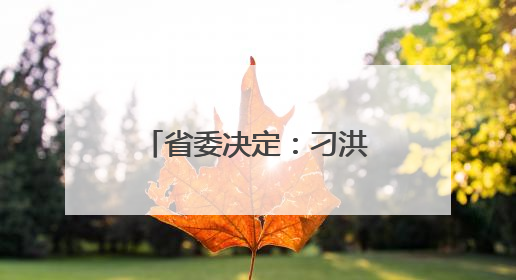 省委决定：刁洪斌、荣刚履新