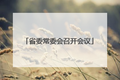 省委常委会召开会议
