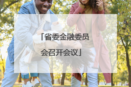 省委金融委员会召开会议