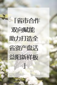 省市合作双向赋能 助力打造全省资产盘活益阳新样板