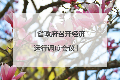 省政府召开经济运行调度会议