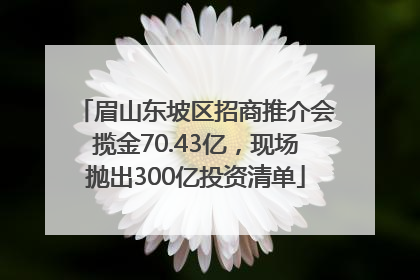 眉山东坡区招商推介会揽金70.43亿，现场抛出300亿投资清单