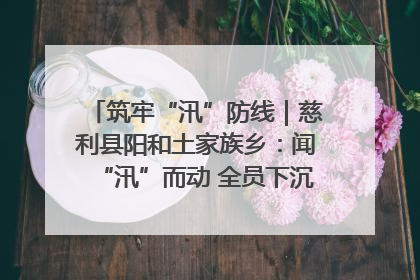 筑牢“汛”防线｜慈利县阳和土家族乡：闻“汛”而动 全员下沉筑牢防汛“安全堤”