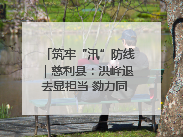 筑牢“汛”防线｜慈利县：洪峰退去显担当 勠力同心启新篇