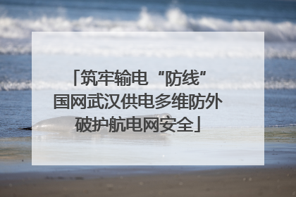 筑牢输电“防线” 国网武汉供电多维防外破护航电网安全