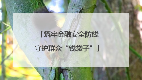 筑牢金融安全防线 守护群众“钱袋子”