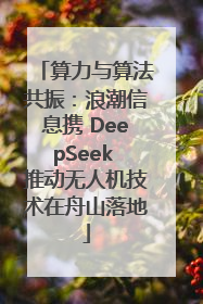 算力与算法共振：浪潮信息携 DeepSeek 推动无人机技术在舟山落地