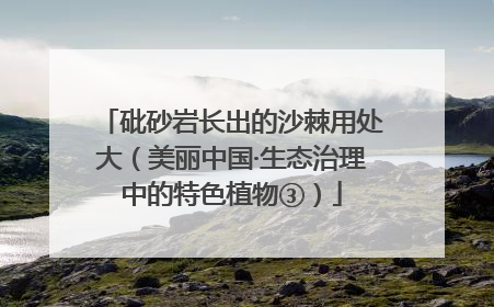 砒砂岩长出的沙棘用处大（美丽中国·生态治理中的特色植物③）