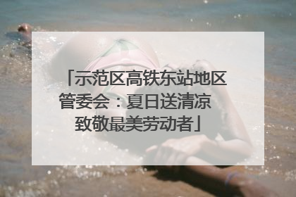 示范区高铁东站地区管委会：夏日送清凉 致敬最美劳动者