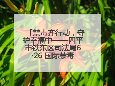 禁毒齐行动，守护幸福中——四平市铁东区司法局6·26 国际禁毒日禁毒宣传活动