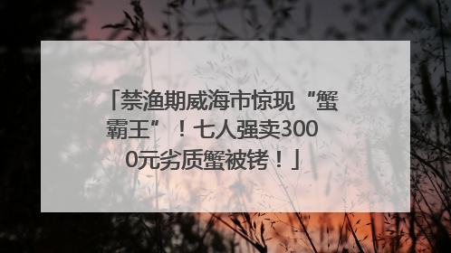 禁渔期威海市惊现“蟹霸王”！七人强卖3000元劣质蟹被铐！