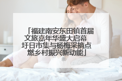 福建南安东田镇首届文旅嘉年华盛大启幕 圩日市集与杨梅采摘点燃乡村振兴新动能