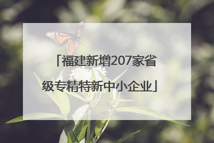 福建新增207家省级专精特新中小企业